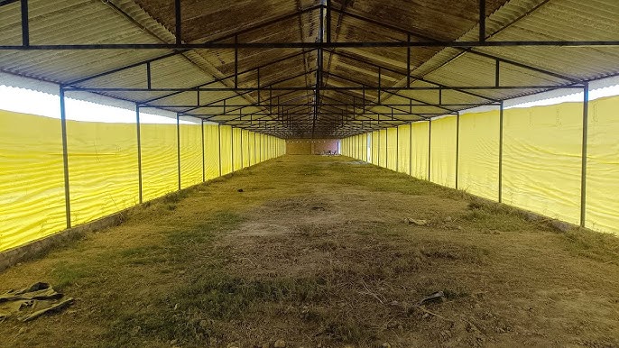 Poultry farm Covers